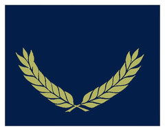 CERTIFICATE FOLDERS-BLUE GOLD FOIL STAMPLED 30 PACK