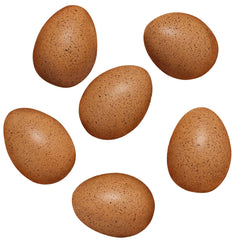 YELLOW DOOR SENSORY SOUND EGGS