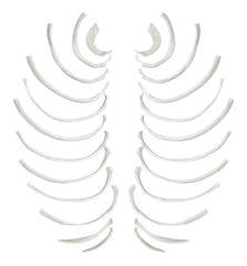 MODEL RIB BONES