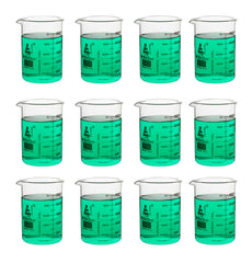 BEAKER GLASS ASTM 250ML 12 PK