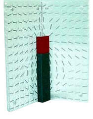 DEMONSTRATION MAGNETIC FIELD