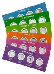 SLIDES PREPARED SCOUT MICROSCOPE S/6