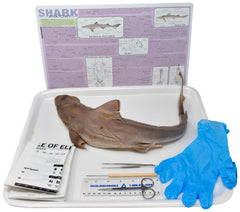22 IN.+ DBL SHARK W/ DISSECTION TOOLS