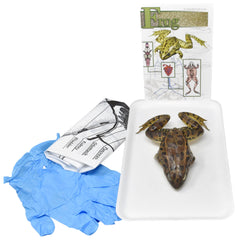 5 IN. + DBL GRASSFROG W/O DISSECTION TOOLS