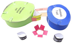 IMMUNE SYSTEM 3-D MODEL KIT