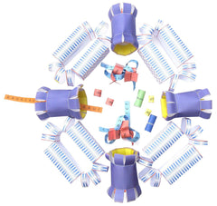CELL NUCLEUS 3-D MODEL KIT