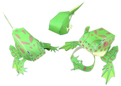 FROG LIFE CYCLE 3-D MODEL KIT