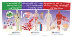 HUMAN BODY SET OF 3