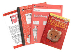 READING AND WRITING BOOST BUNDLE GR 3
