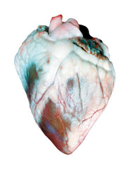 SHEEP HEART VAC PK/1