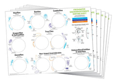 AQUATIC MACROINVERTEBRATE SORTING SHEETS