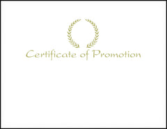 AWARD RECOGNITION FOIL CERTIFICATE OF PROMOTION 8-1/2 X 11 INCHES