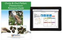 OWLS AND OWL PELLETS RESOURCE GUIDE WITH ONLINE MULTIMEDIA LAB