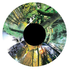 FOREST EFFECT WHEEL MAGNETIC