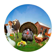FARM ANIMALS EFFECT WHEEL NS13 MAGNETIC