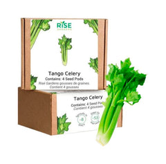 TANGO CELERY 4PK