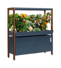 SINGLE NEW RISE GARDEN CHARCOAL