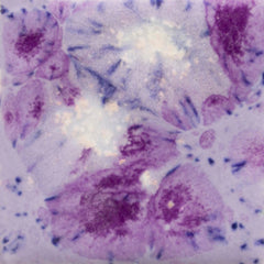 GLAZE MAYCO JUNGLE GEMS CG-1006 PURPLE REIGN PINT