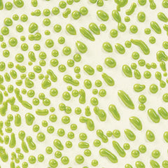 GLAZE AMACO CRAWLS CR-41 LIME PINT