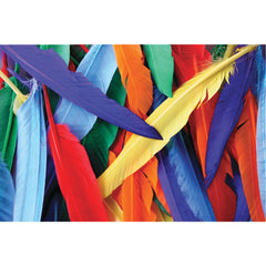 Small Quill Feathers Asst Brights