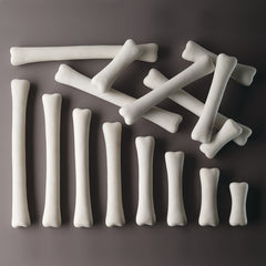 Dinosaur Bones Match And Measure