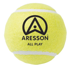 Tennis Ball Set 12