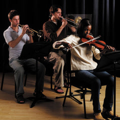 Wenger acoustic shield