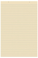 TAGBOARD RULED 24X36 100 SHEETS