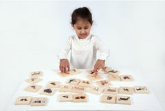 DOMESTIC ANIMAL FAMILY MATCH