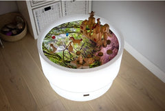 SENSORY MOOD DISCOVERY TABLE + FOREST DISCOVERY PLAY MAT