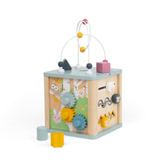 Activity Cube (12 Months +)