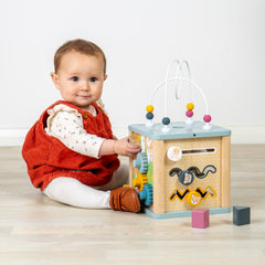 Activity Cube (12 Months +)