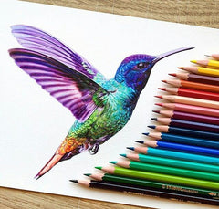 FABER CASTELL CON COLOUR PENCILS 36 COLOUR