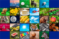 CHILDCRAFT - CARPETS - BILINGUAL FRENCH ALPHABET PHOTO FUN - RECTANGLE - 6 FT X 9 FT - SPECIFY CARPET COLOR