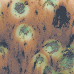 GLAZE SAX CRYSTAL MAGIC CAPPUCCINO MINT PINT