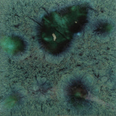 GLAZE MAYCO JUNGLE GEMS CG-713 PEACOCK GREEN PINT