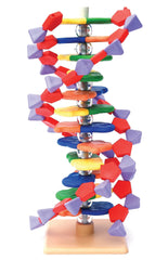 12 LAYER ADVANCED MINI DNA