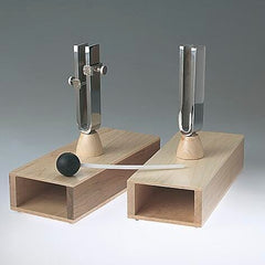 TUNING FORK SYMPATHETIC DIFFERENTIAL SET