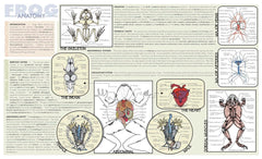 MAT FROG DISSECTION