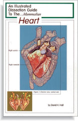 GUIDE MAMMAL HEART DISSECTION