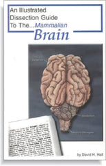 GUIDE MAMMAL BRAIN DISSECTION