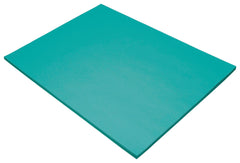 CONST PPR 18X24 TURQUOISE TRURAY 50 SHTS