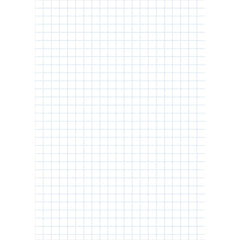 A4 Ex Pap 10Mm Sq Unpunched Rm