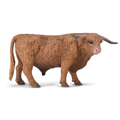 Highland Bull (3 Years +)