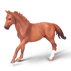 Phar Lap, Thoroughbred Stallion Chestnut (3 Years +)
