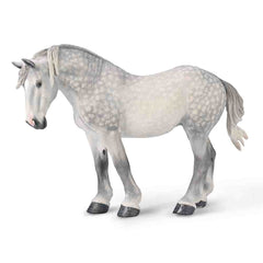 Percheron Mare – Dappled Grey (3 Years +)