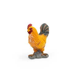 Cockerel (3 Years +)