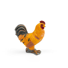 Cockerel (3 Years +)