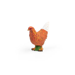 Hen (3 Years +)