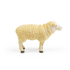 Sheep (3 Years +)
